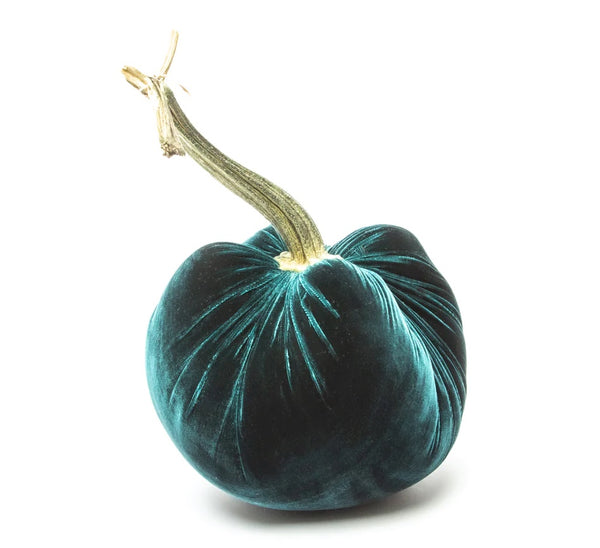Hot Skwash Sea Velvet Pumpkin