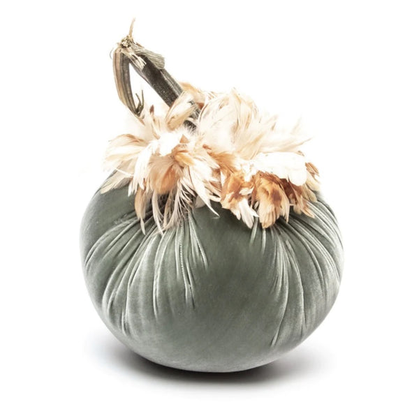 Hot Skwash Willow Velvet Pumpkin