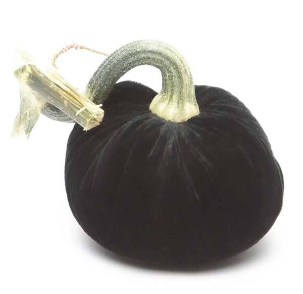 Hot Skwash Ebony Velvet Pumpkins