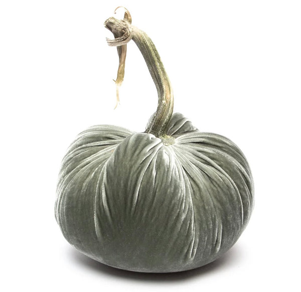 Hot Skwash Willow Velvet Pumpkin