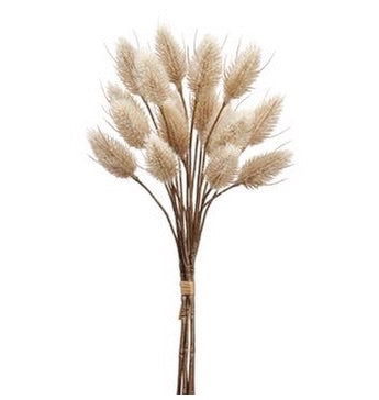 Hare's Tail Bundles of 6