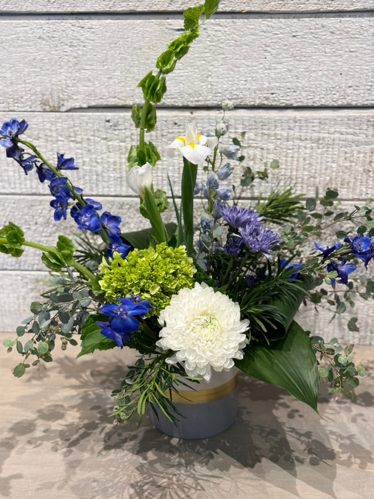 Brilliant Blues