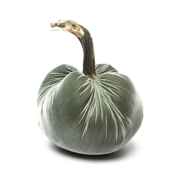 Hot Skwash Willow Velvet Pumpkin