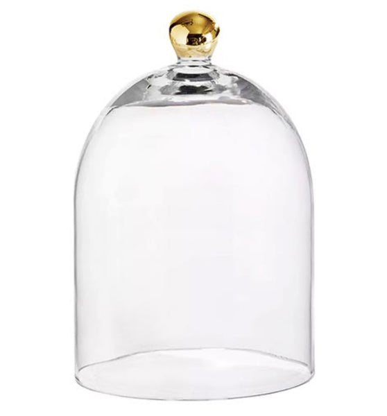 10" Glass Cloche with Gold Knob