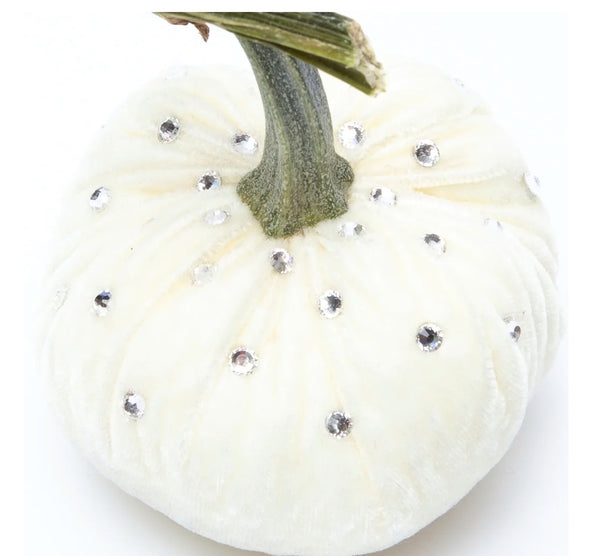 Hot Skwash Ivory Velvet Pumpkin