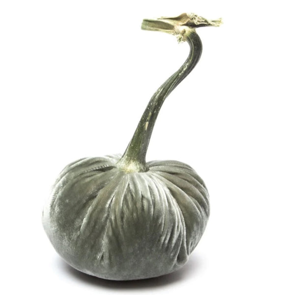 Hot Skwash Willow Velvet Pumpkin