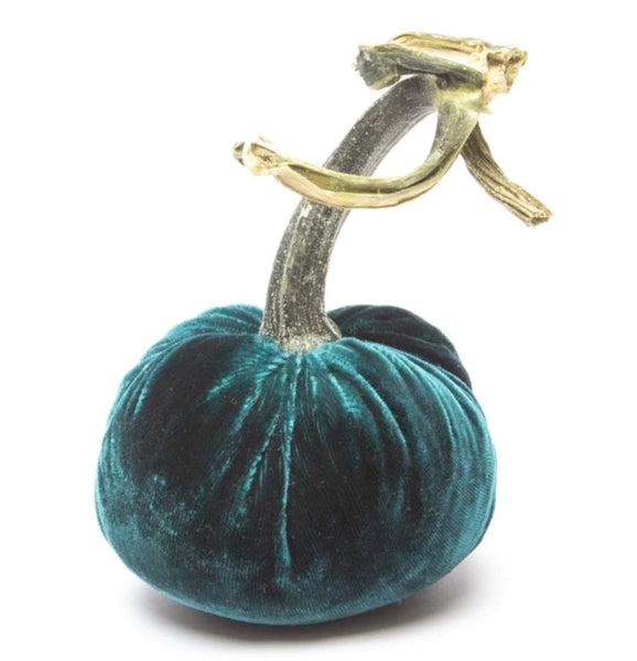 Hot Skwash Sea Velvet Pumpkin