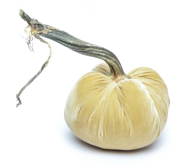 Hot Skwash Husk Velvet Pumpkin
