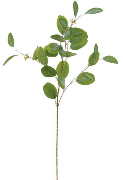 Seeded Eucalyptus Spray - 37"