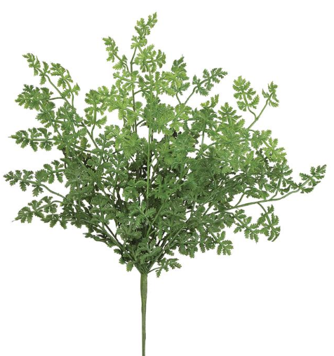 Large Featherfew Bush - 19"