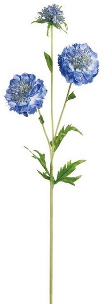 Scabiosa Spray Blue - 30"