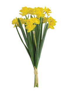 Narcissus Bundle Yellow - 11"