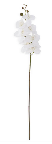 White Orchid Stem 34.5"