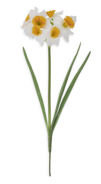 White & Yellow Daffodil Stem - 18"