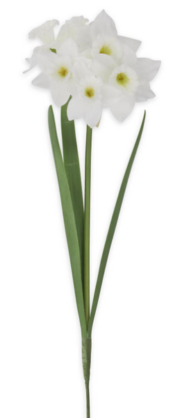 White Daffodil Stem - 18"