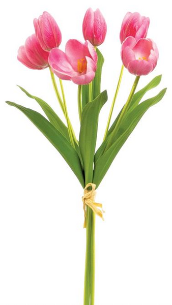 Tulip Bundle - 18"