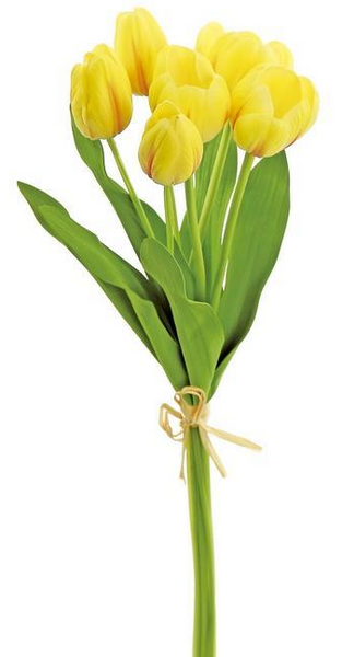 Tulip Bundle - 18"