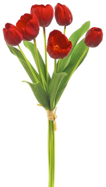 Tulip Bundle - 18"