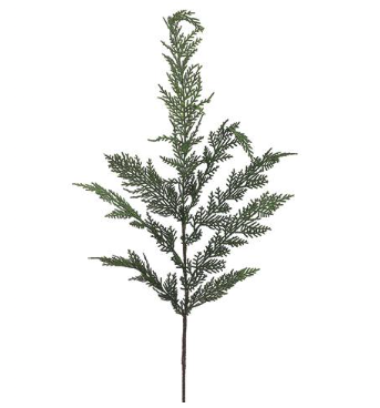 Long Cedar Sprays