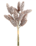 Iced Pine Cone Bundle