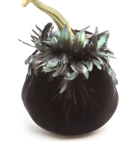 Hot Skwash Ebony Velvet Pumpkins