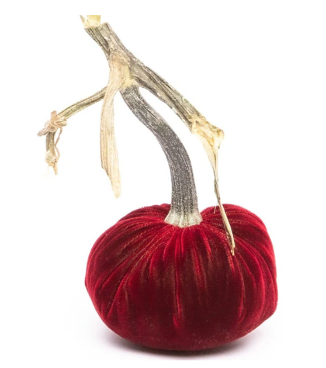 Hot Skwash Pomegranate Velvet Pumpkins