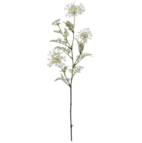 Orlaya Lace Flower Spray - 37.5"