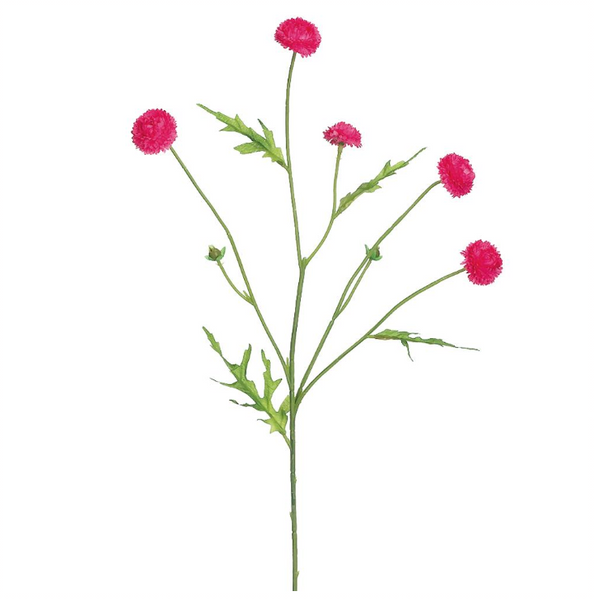 Wild Pom Pom Sprays - 23.5"