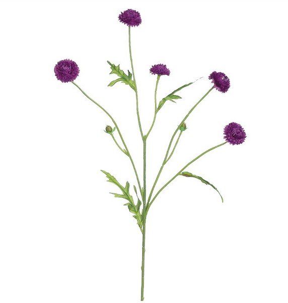 Wild Pom Pom Sprays - 23.5"