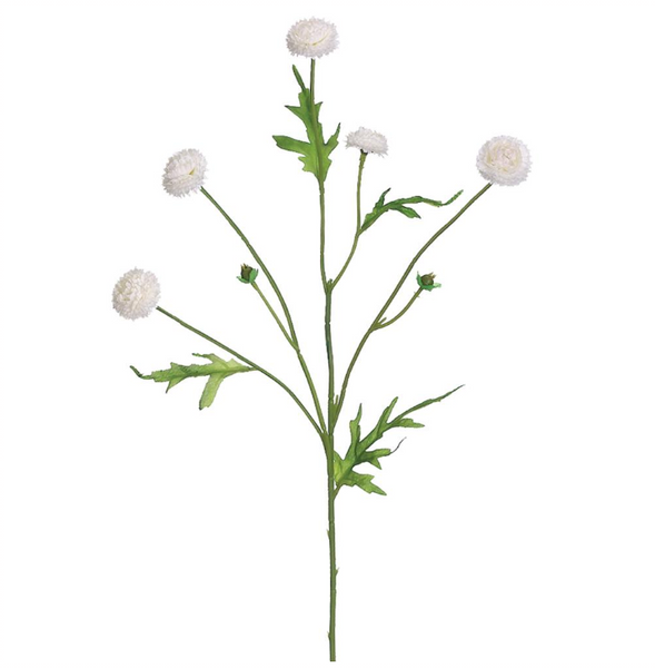 Wild Pom Pom Sprays - 23.5"