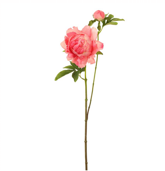 Coral Peony Stem - 25"