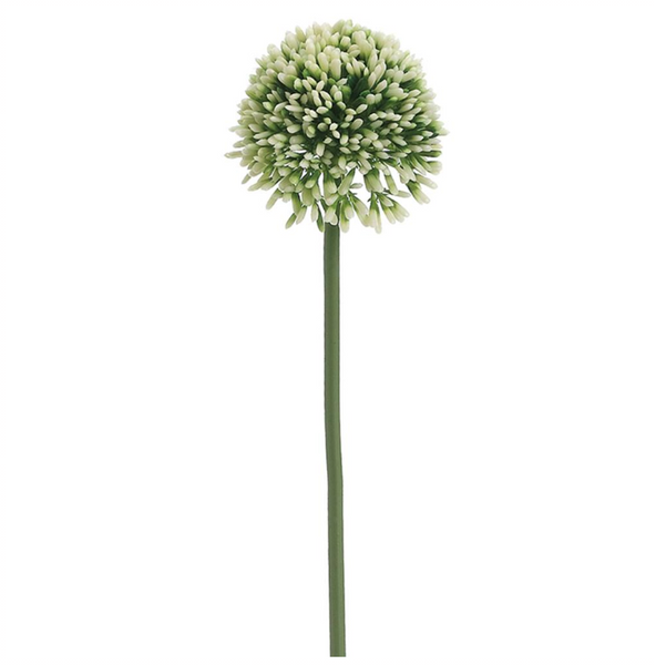 Allium Stems - 17.5"
