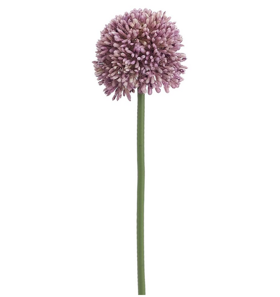 Allium Stems - 17.5"