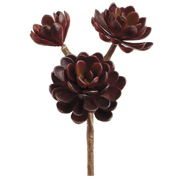 Burgundy Hens and Chicks Succulent Stem - 10"