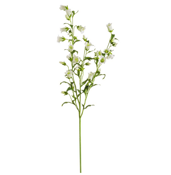 Cream Campanula Spray - 44"