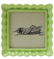 Scalloped Square Resin Photo Frames