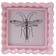 Scalloped Square Resin Photo Frames