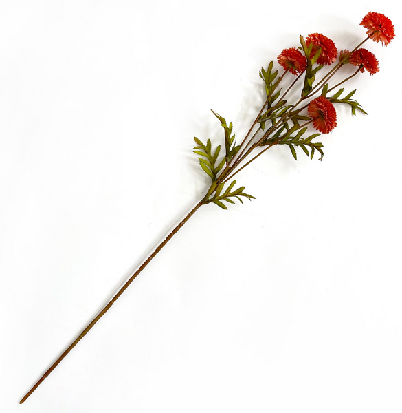 Salmon Aster Spray