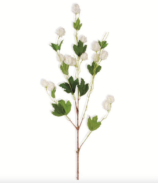 Cream Hops Stem - 39"