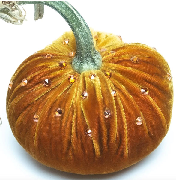 Hot Skwash D'Or Velvet Pumpkins