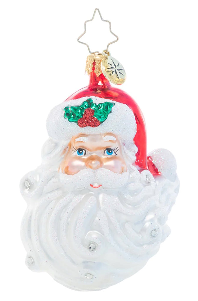 Jolly with a Dash of Holly Gem by Christopher Radko