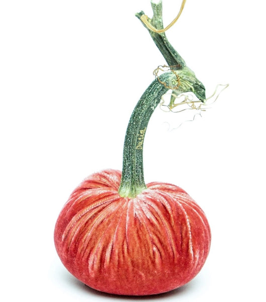 Hot Skwash Rhubarb Velvet Pumpkin