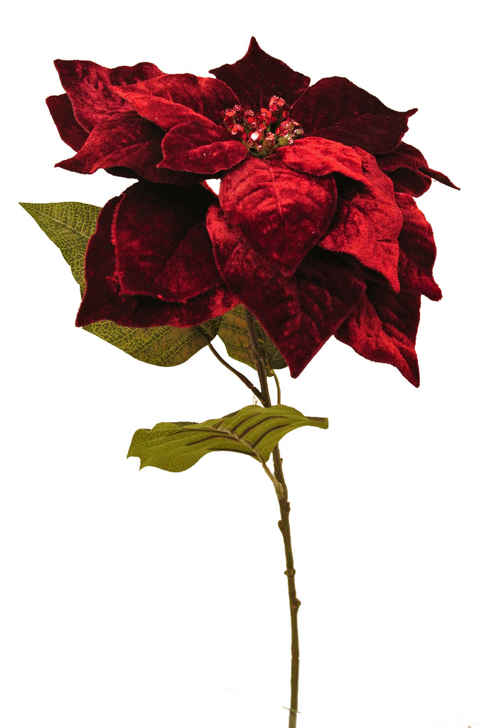 Wine Velveteen Poinsettia Stem