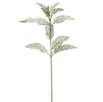 Light Green Velvet Lamb's Ear Spray