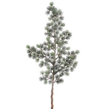 Snowed Pine Spray