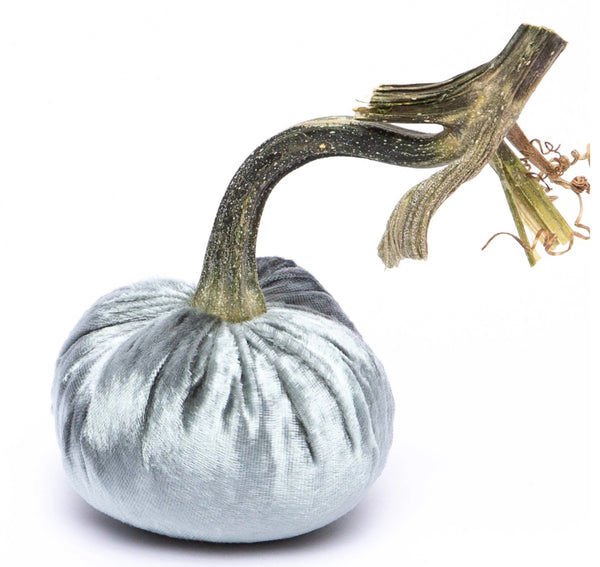 Hot Skwash Blue Ice Panne Velvet Pumpkin