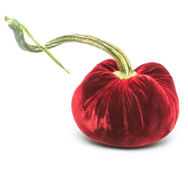 Hot Skwash Cherry Velvet Pumpkins