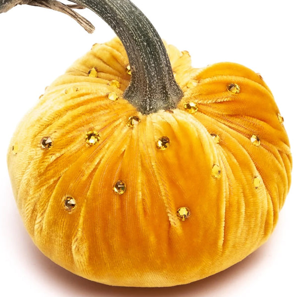 Hot Skwash Carrot Velvet Pumpkins