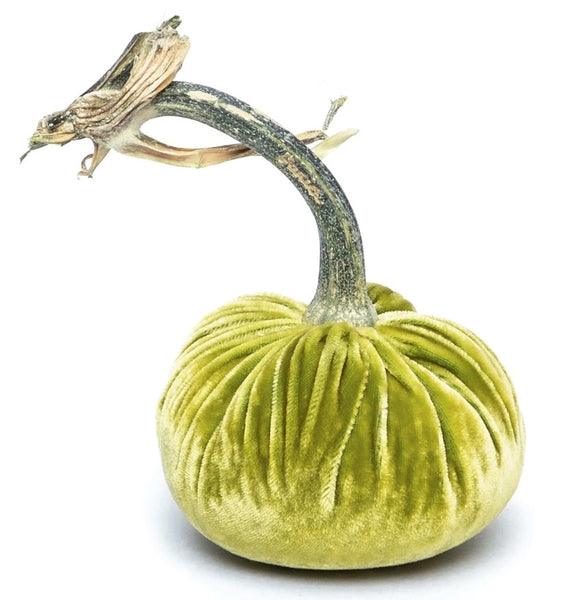 Hot Skwash Chartreuse Velvet Pumpkin