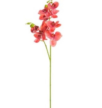 Coral Phalaenopsis Orchid Spray - 37"